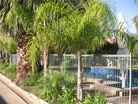 Orana Motor Inn - Lightning Ridge Tourism 8