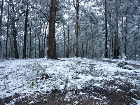 High Peaks Cottages - Lightning Ridge Tourism 0