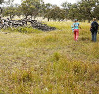 Carnarvon National Park camping - Lightning Ridge Tourism