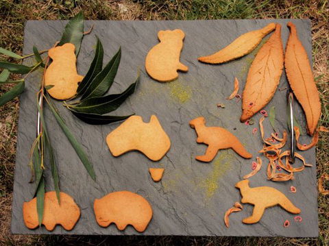 Goldsmith's In The Forest - Lightning Ridge Tourism 7