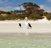 Kangaroo Island Star Beach House - Lightning Ridge Tourism