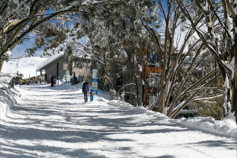 Frueauf Village - Lightning Ridge Tourism 5