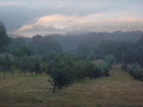 Guy's Cross Farm Cottage - Lightning Ridge Tourism 3