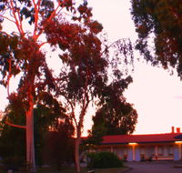 Murray Bridge Central Olympic Motel and Cottages - Lightning Ridge Tourism