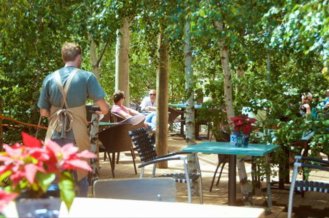 Oakdene Vineyards Guesthouse - Lightning Ridge Tourism 5