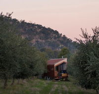 Shacky in the Olive Grove - Lightning Ridge Tourism