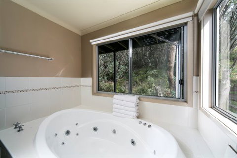 Snow Fall Lodge At Falls Creek - Lightning Ridge Tourism 4