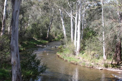 Stockyard Creek - Lightning Ridge Tourism 2