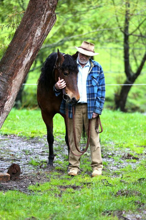 Stockyard Creek - Lightning Ridge Tourism 4