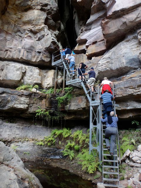 Takarakka Bush Resort Carnarvon Gorge - Lightning Ridge Tourism 0