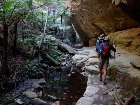 Takarakka Bush Resort Carnarvon Gorge - Lightning Ridge Tourism 6