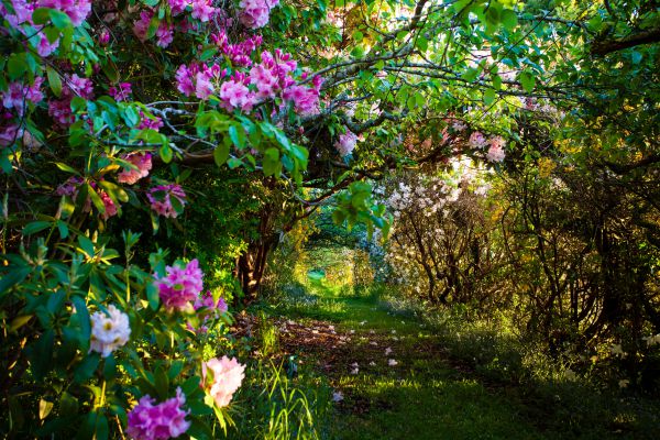 Lalla TAS Lightning Ridge Tourism