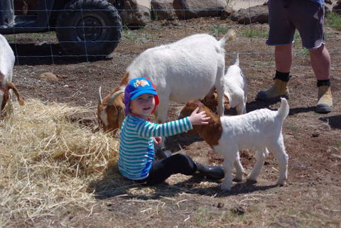 Yalooka Farm - Lightning Ridge Tourism 3