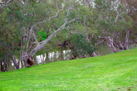 Yalooka Farm - Lightning Ridge Tourism 4