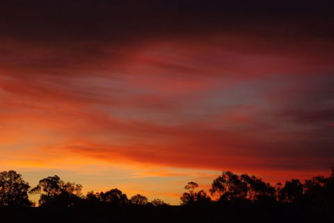 Yalooka Farm - Lightning Ridge Tourism 5