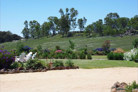 Yalooka Farm - Lightning Ridge Tourism 6