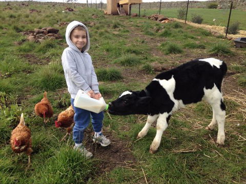 Yalooka Farm - Lightning Ridge Tourism 8