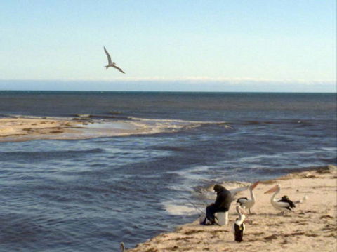 Acushla Accommodation - Lightning Ridge Tourism 8