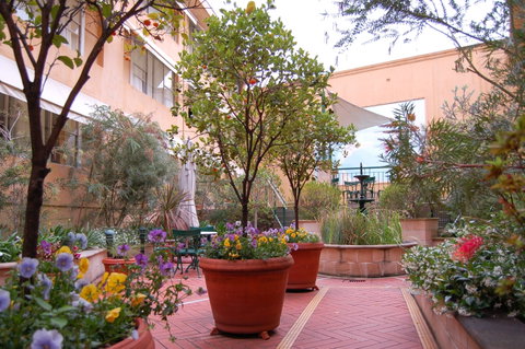 Arts Hotel Sydney - Lightning Ridge Tourism 2