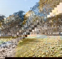 Bullocks Hill campground - Lightning Ridge Tourism