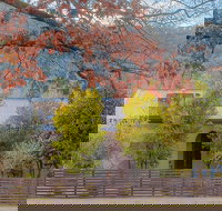 Caits Place - Lightning Ridge Tourism