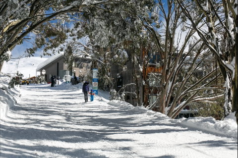 Frueauf Village - Lightning Ridge Tourism 5