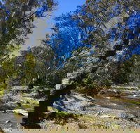 Highfield Farm and Woodland Bush Campsites - Lightning Ridge Tourism