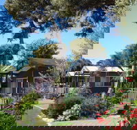 Lakeside Tourist Park - Lightning Ridge Tourism