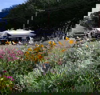 Millicent Showground RV Park - Lightning Ridge Tourism