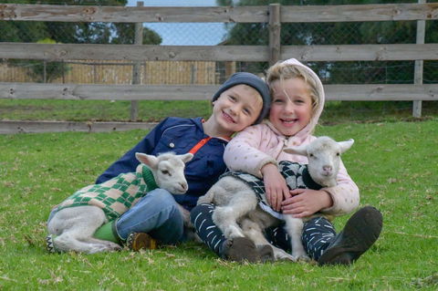 Narnu  Farm (Farm Stay/ School Camp) - Lightning Ridge Tourism 0