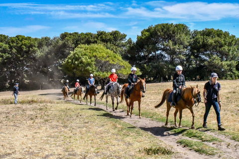 Narnu  Farm (Farm Stay/ School Camp) - Lightning Ridge Tourism 2