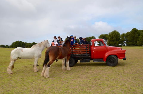 Narnu  Farm (Farm Stay/ School Camp) - Lightning Ridge Tourism 3