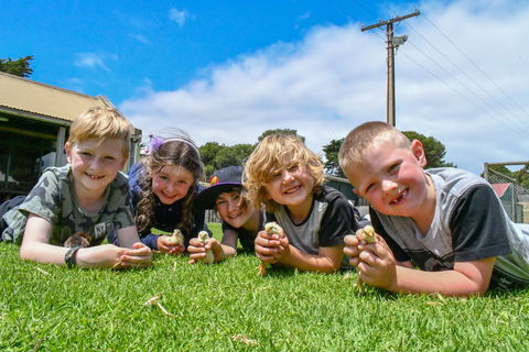 Narnu  Farm (Farm Stay/ School Camp) - Lightning Ridge Tourism 7