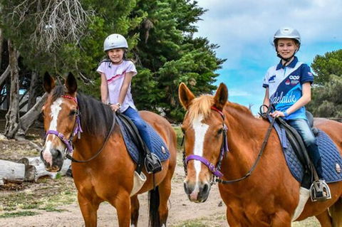 Narnu  Farm (Farm Stay/ School Camp) - Lightning Ridge Tourism 9