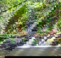 O'Reilly's Rainforest Retreat - Lightning Ridge Tourism