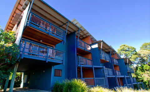 O'Reilly's Rainforest Retreat - Lightning Ridge Tourism 7