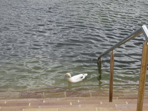 Studio At Careel Bay - Lightning Ridge Tourism 6