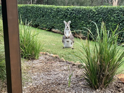 Wild Edge Retreat - Lightning Ridge Tourism 9