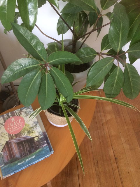 Franklin Accommodation - Lightning Ridge Tourism 4