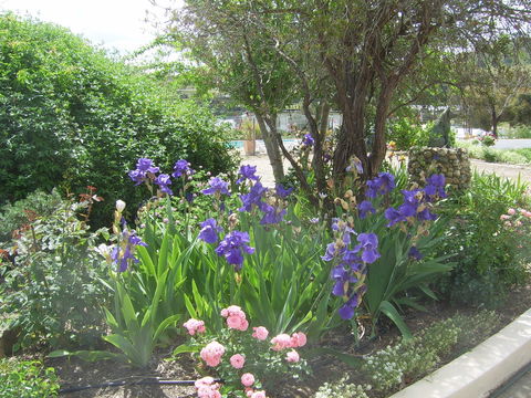 Garden Motor Inn (Golden Chain) - Lightning Ridge Tourism 7