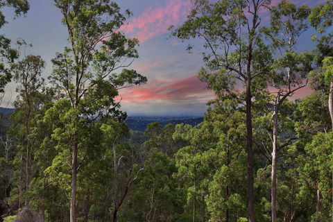 Gold Coast Tree Houses - Lightning Ridge Tourism 2
