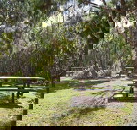 Illaroo group camping area - Lightning Ridge Tourism
