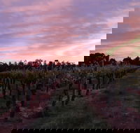 Milawa Vineyard Views - Lightning Ridge Tourism