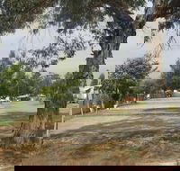 Country Acres Caravan Park - Lightning Ridge Tourism