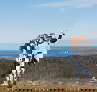 Cowell RV Park - Lightning Ridge Tourism