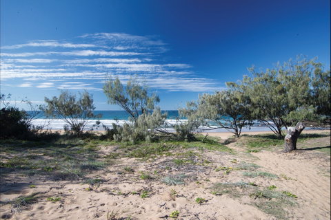 Deepwater National Park Camping - Lightning Ridge Tourism 0