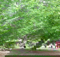 Hill End Holiday Ranch - Lightning Ridge Tourism