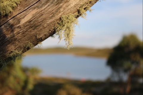 Howmans Gap Alpine Centre YMCA - Lightning Ridge Tourism 2