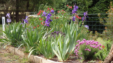 Karoola Cottage - Lightning Ridge Tourism 1