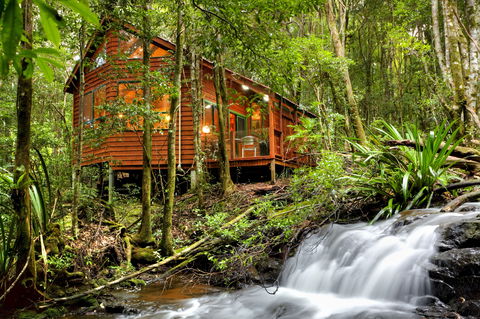 The Mouses House - Rainforest Retreat - Lightning Ridge Tourism 0